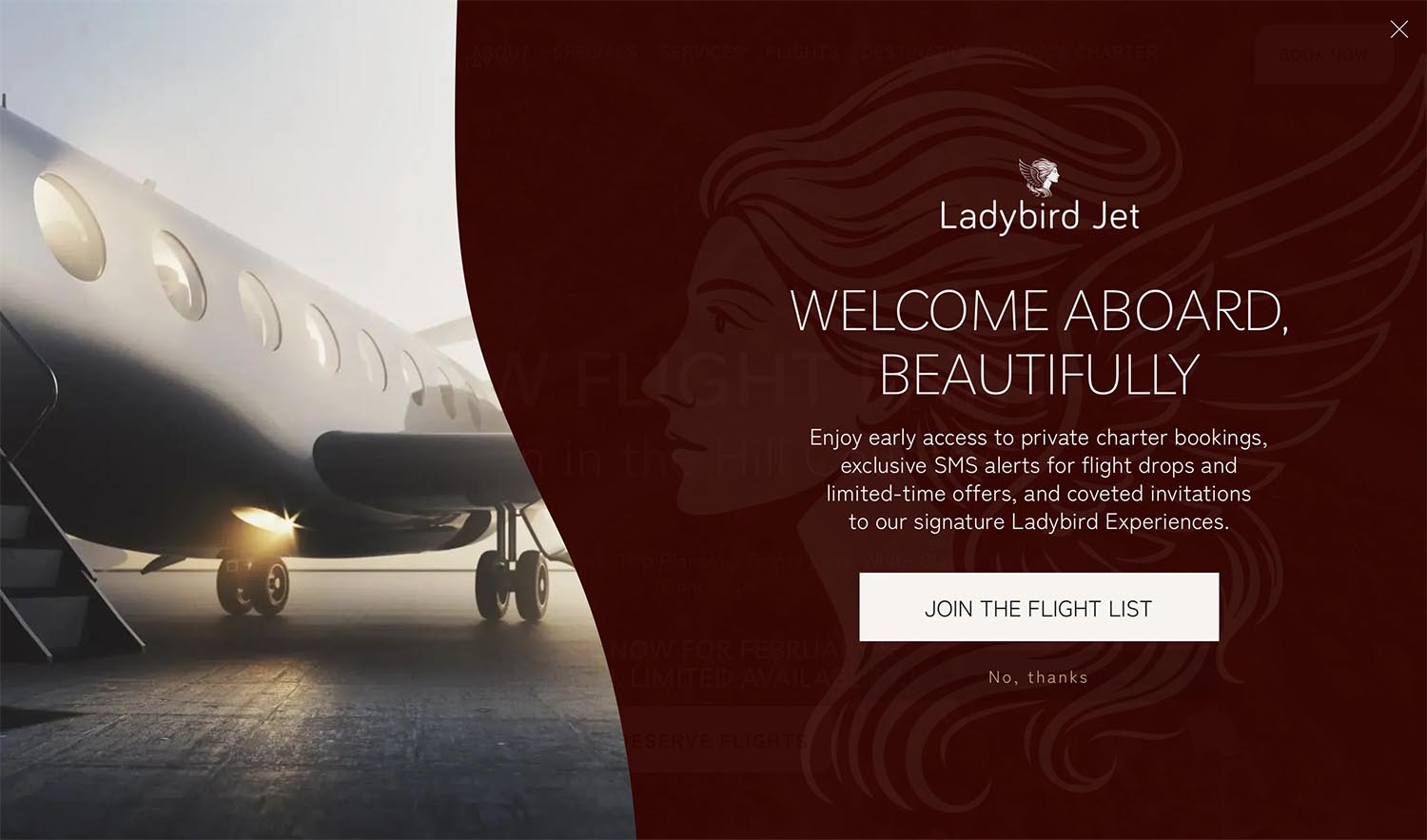 website automations email capture