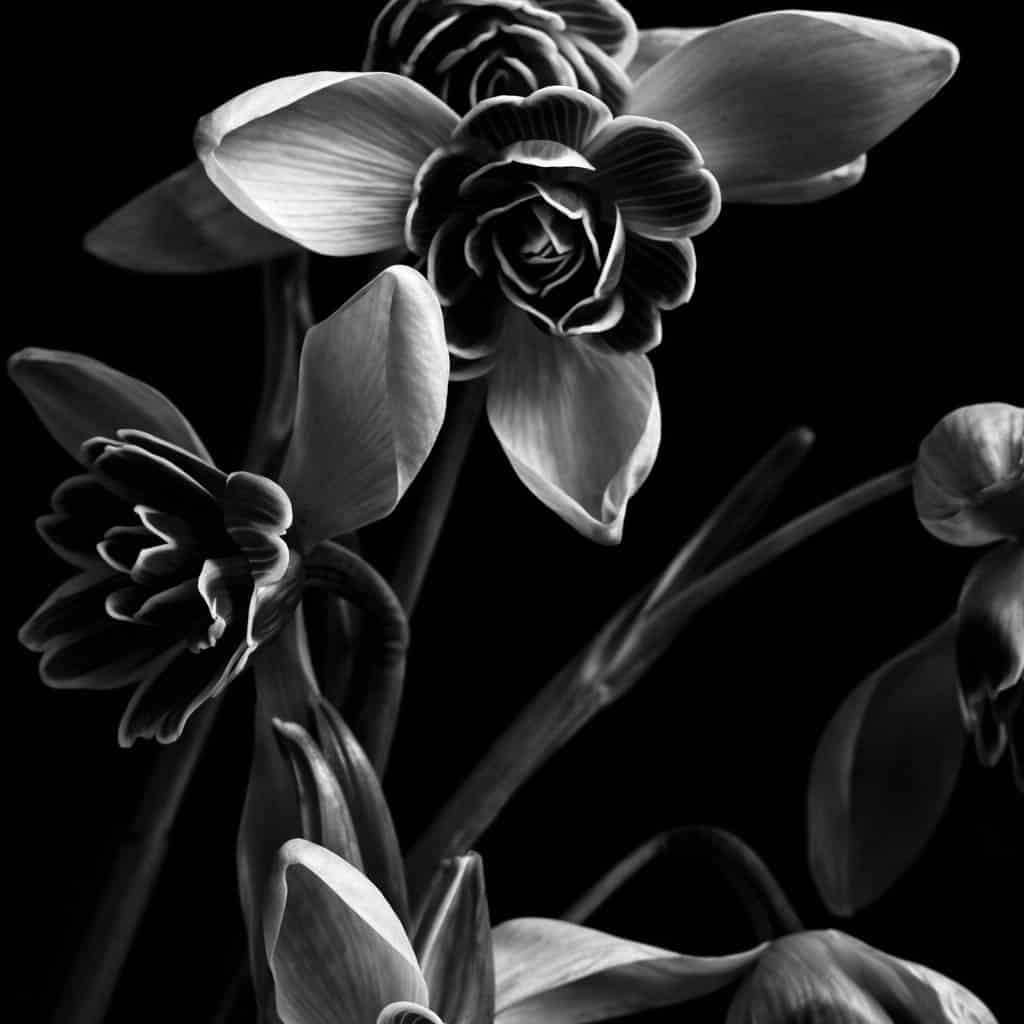 intelligent-automation-agency