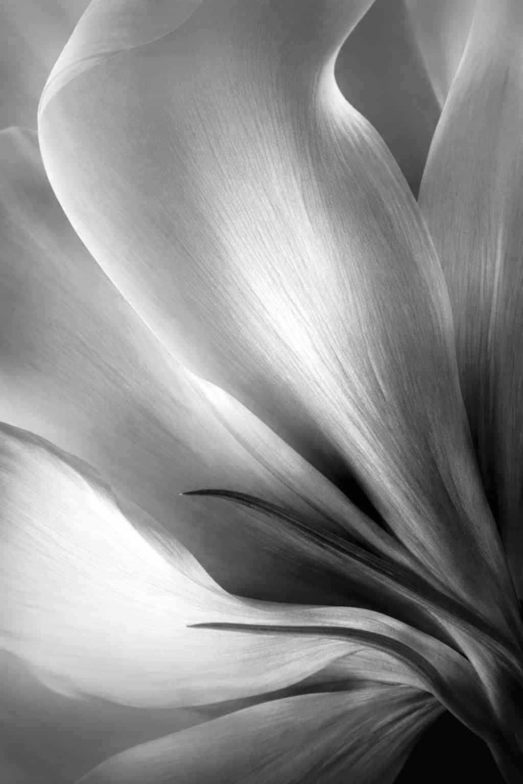 intelligent-web-design